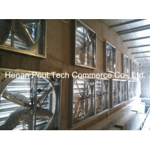 Poultry Farm Equipment Ventilation Fan System